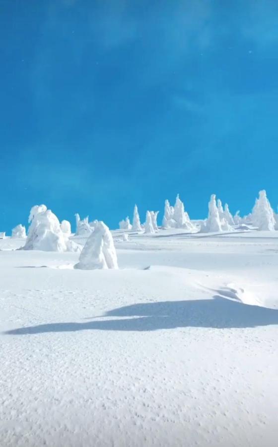 Sunny Kop Cardaci Lägenhet Kopaonik Exteriör bild