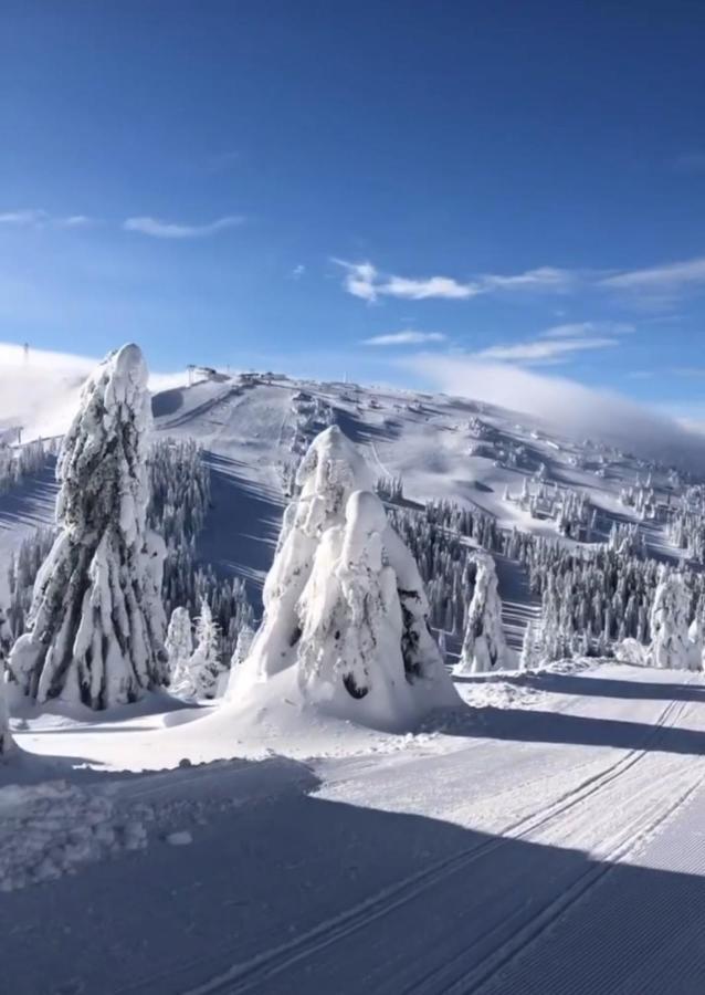Sunny Kop Cardaci Lägenhet Kopaonik Exteriör bild